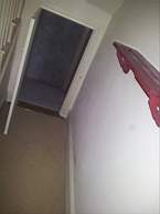 fkillineybeforeinternal 1315.jpg